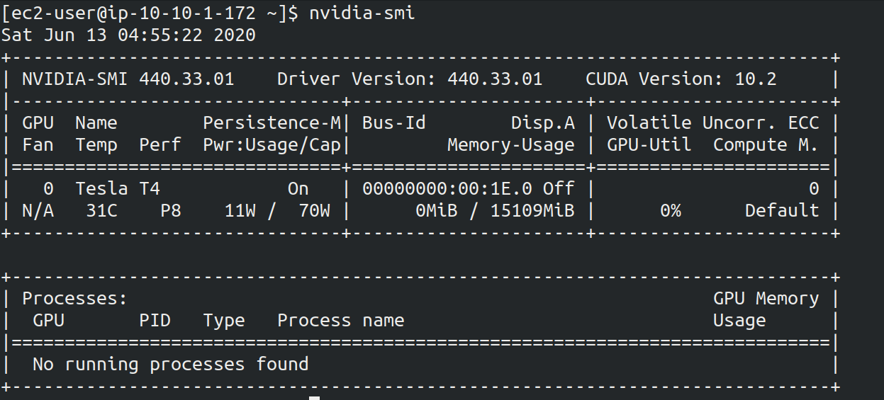 nvidia-smi の出力